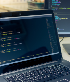 Web Development