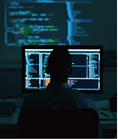 WordPress Development